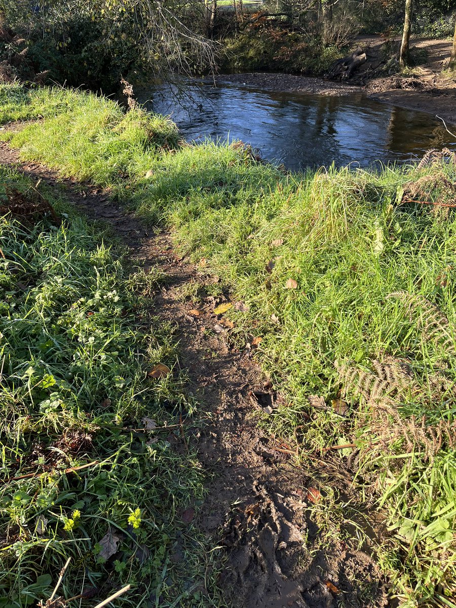 After weeks of feeling rough I managed a walk at lunch time today. It was lovely!