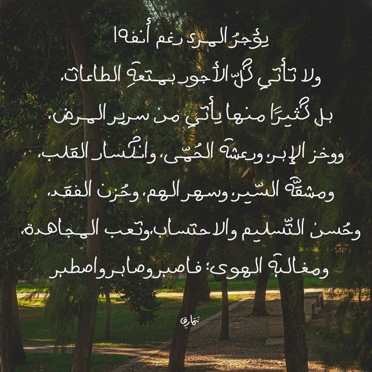 NosaybaYousef's tweet photo. https://t.co/HNDYbW3Ty6