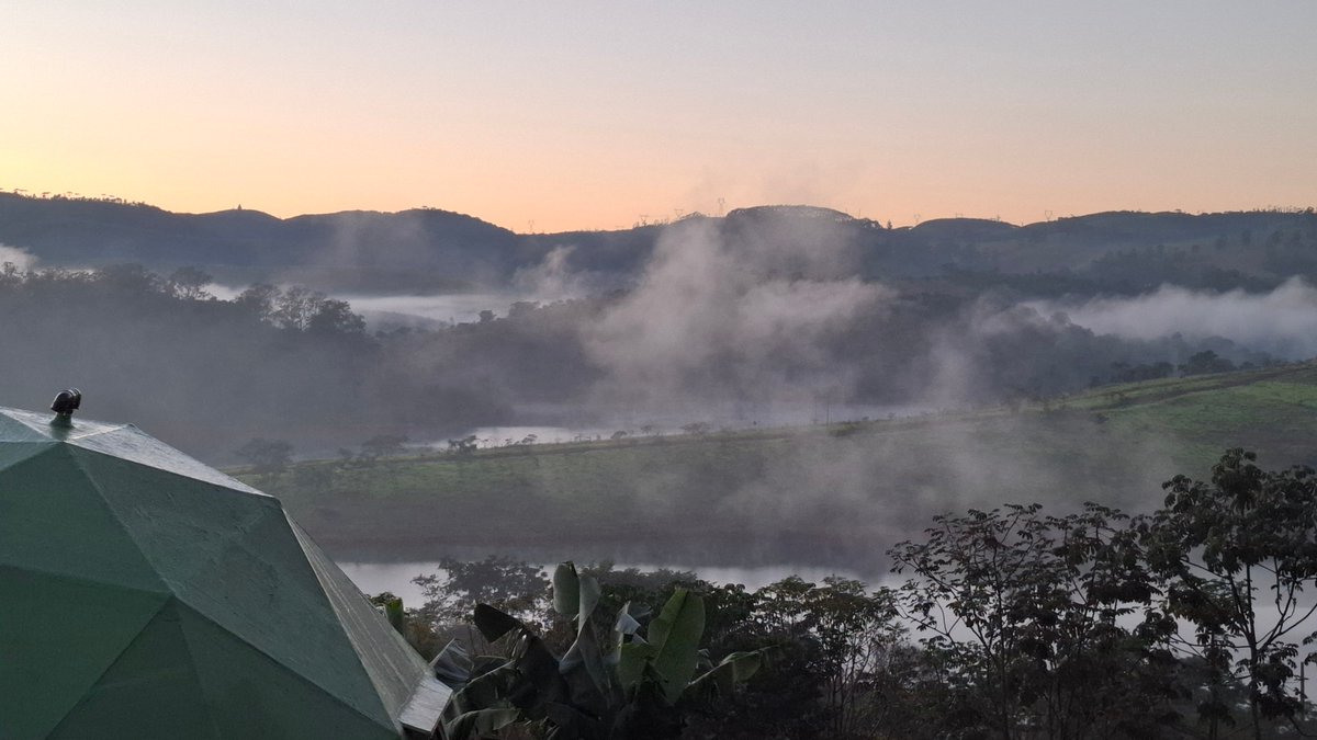 Waru Piracaia tweet media