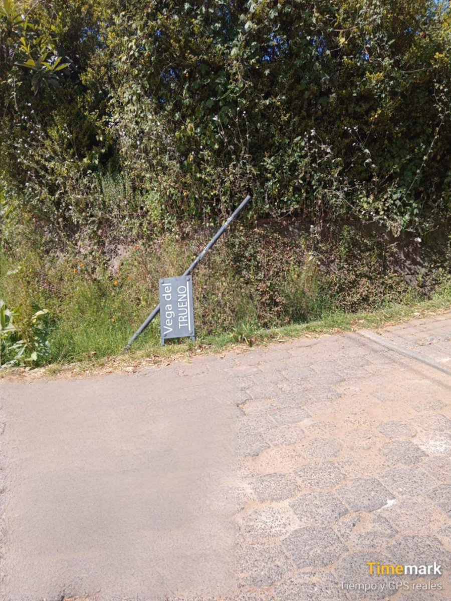 ACAvandaro's tweet photo. Arreglo y colocación del letrero de Vega del Trueno https://t.co/qLKluwCE3j