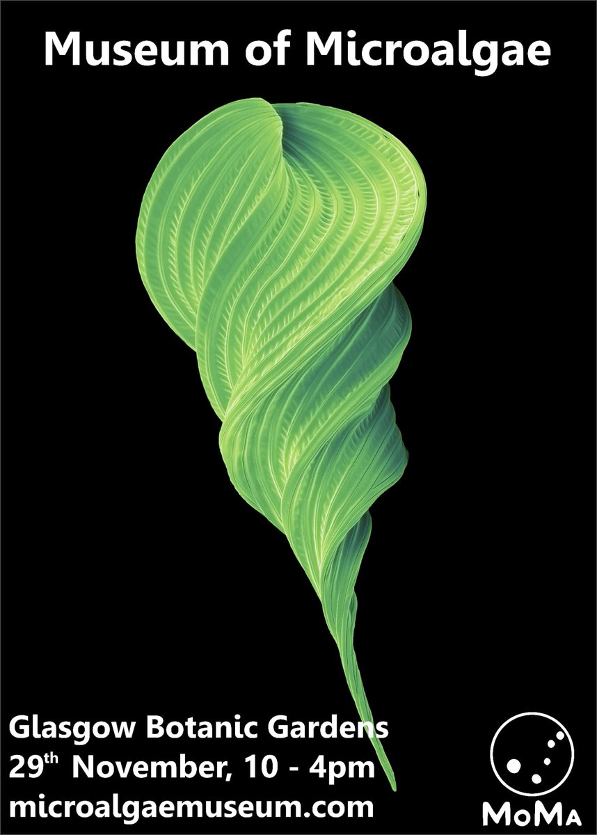 alasdairodell's tweet image. Some colleagues are hosting an awesome #microalgae exhibition with really cool art works in #glasgow this Friday night if you want to go check it out. microalgaemuseum.com
#phycologyfriday #algae #art
