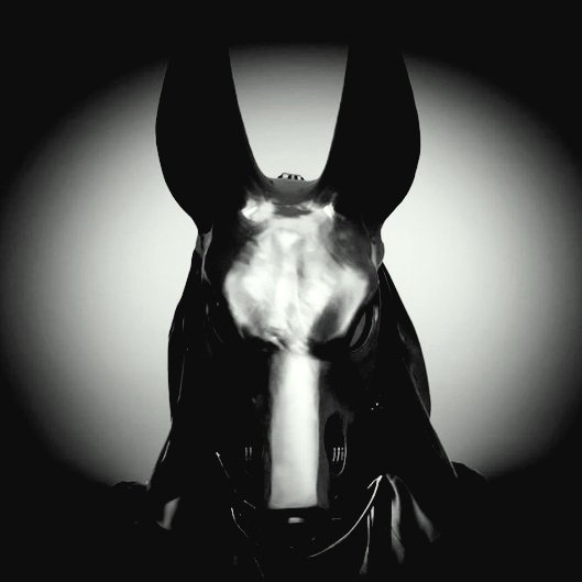 Nubis Garte ๐ข (@nubisgarte) on Twitter photo #NewProfilePic 
Simple edit of an old favorite. ๐ #NewProfilePic 
Simple edit of an old favorite. ๐
