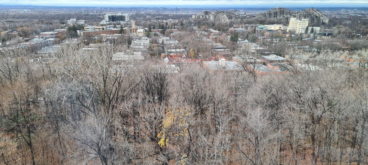 Strengthening ties with Polytechnique Montréal! 🇨🇦🤝🇪🇸
Great discussions on research, exchanges, and double degree programs between UPM and Polytechnique. Huge thanks to their team for the warm welcome!
#UPM #PolytechniqueMontréal #GlobalPartnership #Innovation