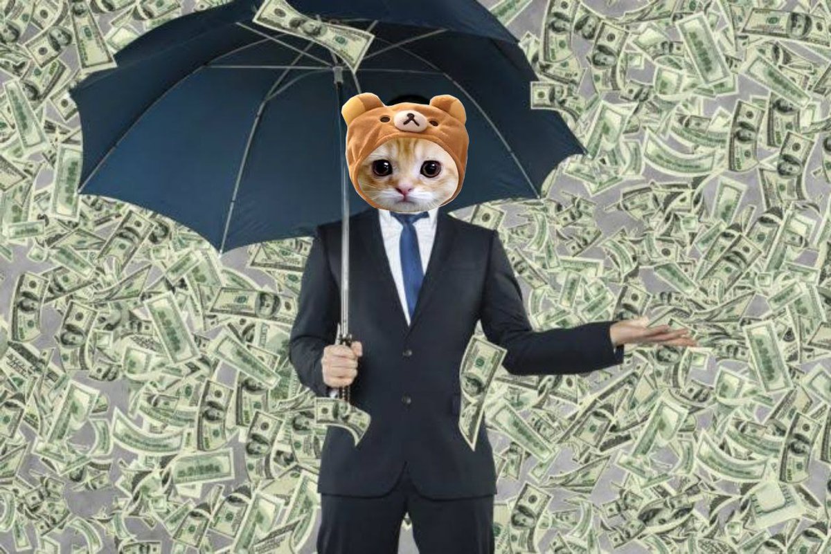 @Lvnten ✅Hardworking team
✅Loyal cult community

The ticker is $CIF the OG Catwifhat 😼🧢 <a href="/OGcatwifcoin/">CatWifHat</a>