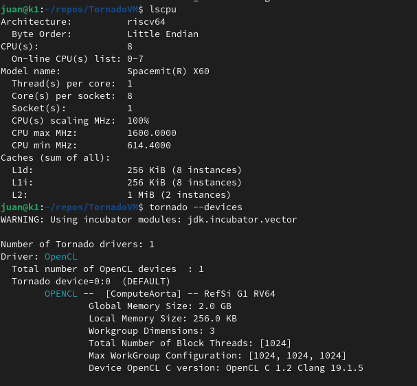 snatverk's tweet photo. TornadoVM is now running on RISC-V 64 Spacemit K1!   This is huge! #Java + #TornadoVM running on a RISC-V parallel processor using the vector instructions as a target accelerator via OpenCL. It uses #GraalJIT
compiler and #Codeplay OCK OpenCL.  Time to start some benchmarking. https://t.co/NA4dcn5SBk
