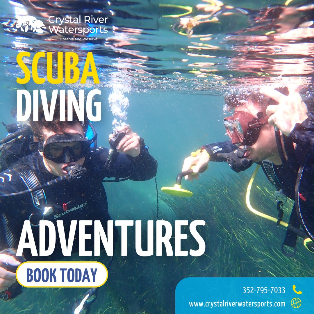 CRW_Florida's tweet image. Looking for your next #ScubaAdventure? 🤿💙 With #CrystalRiverWatersports, you’re in expert hands! Our dive trips are designed for both new and experienced divers, complete with top-notch gear and guides who know the best underwater spots. 

crystalriverwatersports.com/group/scuba-ad…
