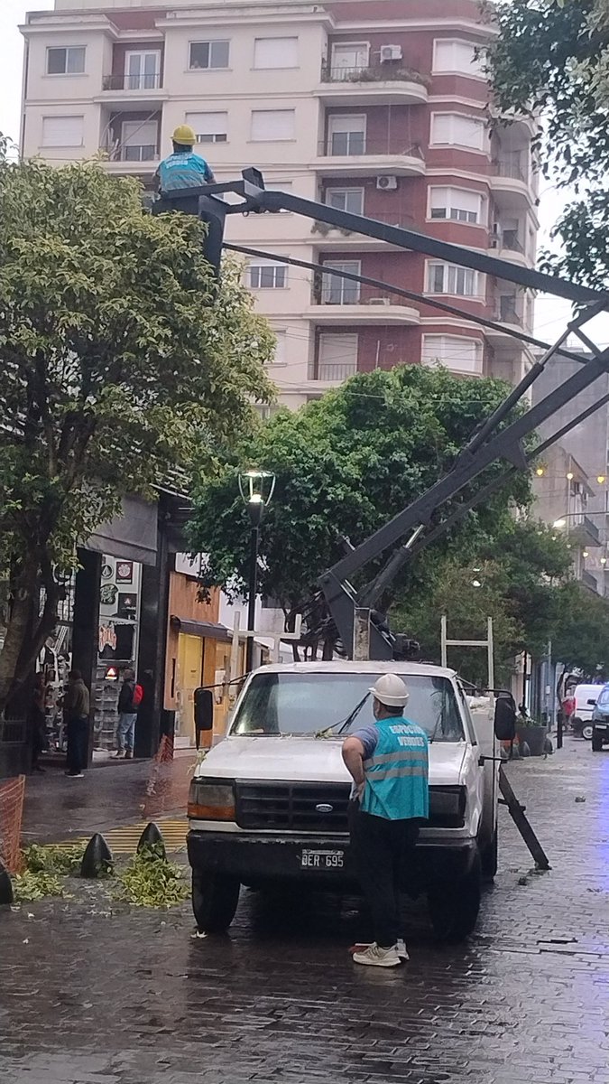 #LaPlata 8 e/ 47 y 48 cortado el tránsito por poda totalmente fuera de época