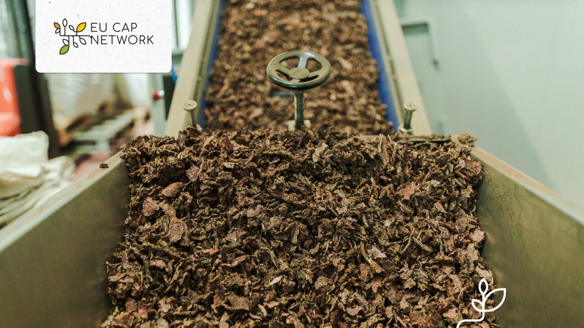 Over 4.5 million tonnes of olive leaves are left in fields &amp; mills each year  🌿

💡 <a href="/CBE_JU/">Circular Bio-based Europe Joint Undertaking</a> project <a href="/OLEAF4VALUE/">OLEAF4VALUE</a> turns these residues into building blocks for international market applications – from antioxidants to skincare tinctures.

📖 bit.ly/3RSaHFP

#WorldOliveDay