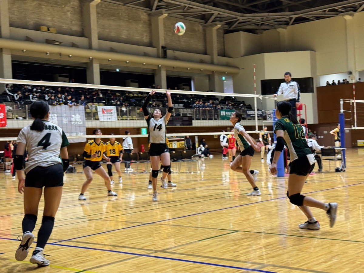 新潟医療福祉大学 女子バレーボール部 tweet media