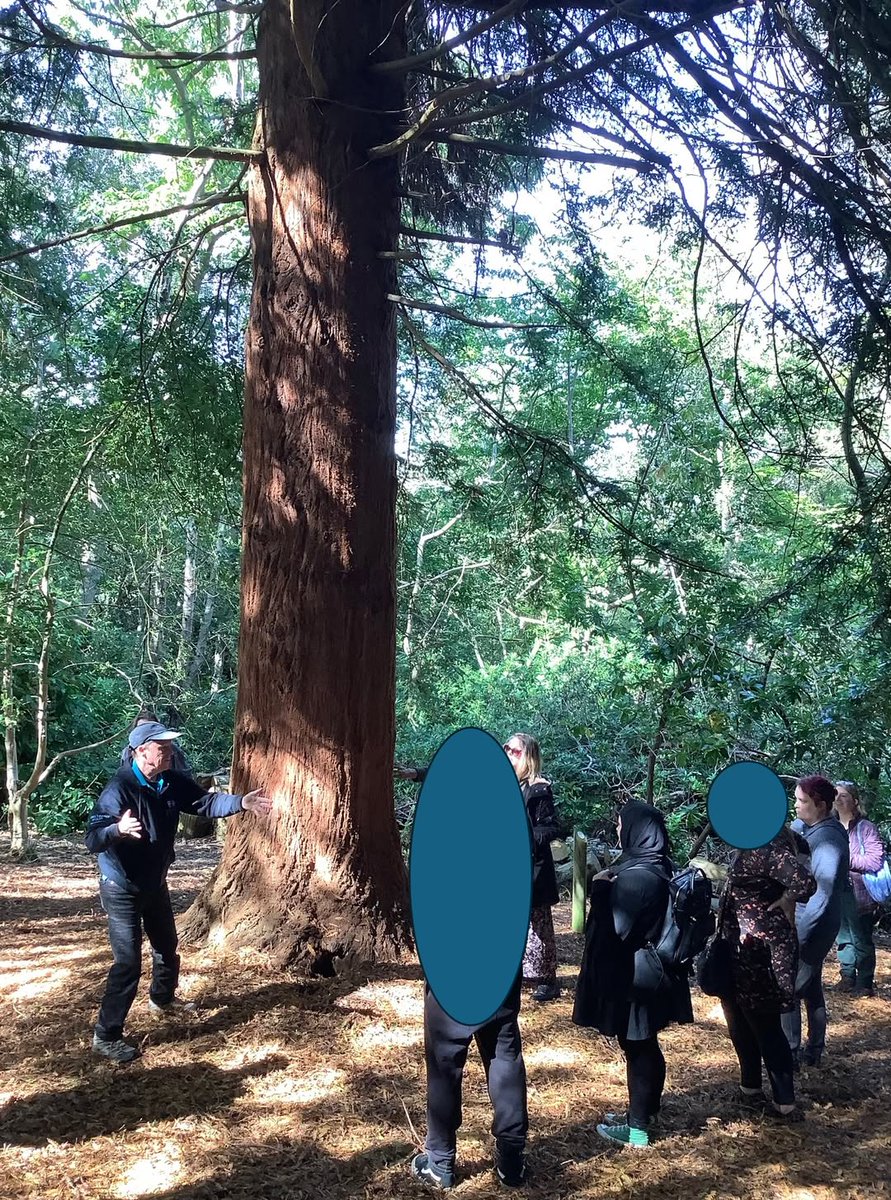 Landscape Soundscape combines nature experience and music for wellbeing.  Thanks to the participants for their feedback;'Calming, relaxing good for the soul!', 'I've enjoyed making noises from nature and using them in music, it has been unusual and interesting'. <a href="/Barchester_FDN/">BarchesterFoundation</a>