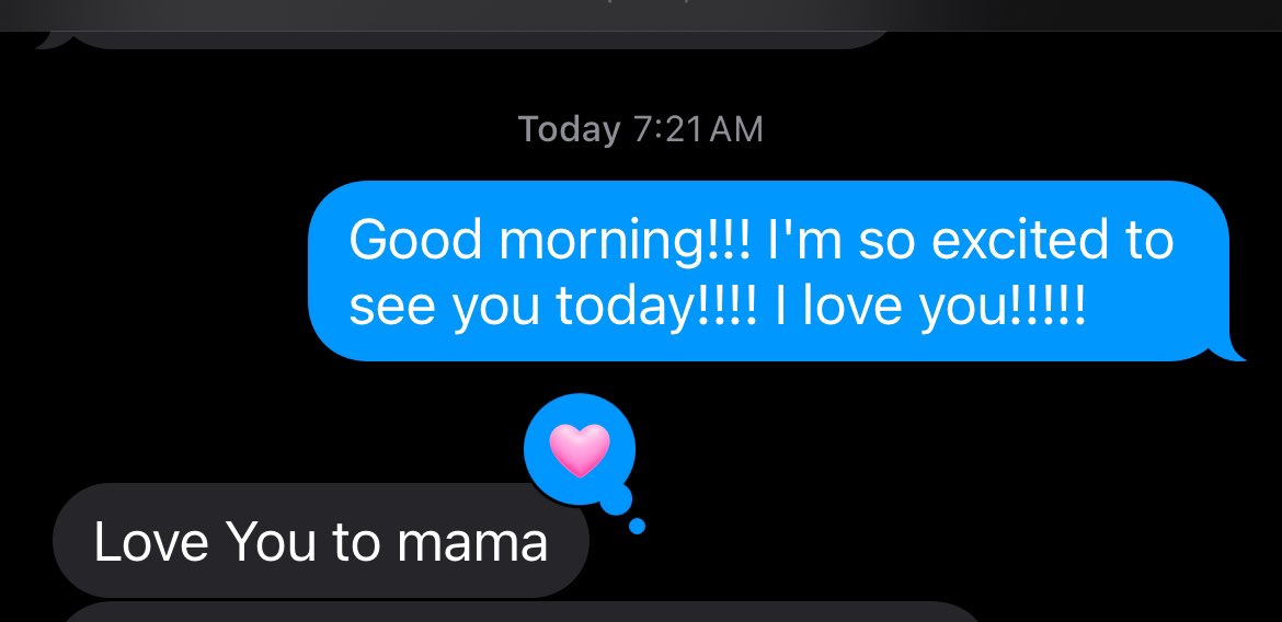 Shayna Chapman 🐘 tweet media