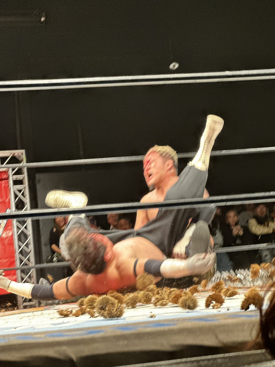 daisuke71's tweet photo. 久しぶりの大日
楽しかった！
次回12.9後楽園ホールも決定
#bjw https://t.co/lIOLsmW0Mt
