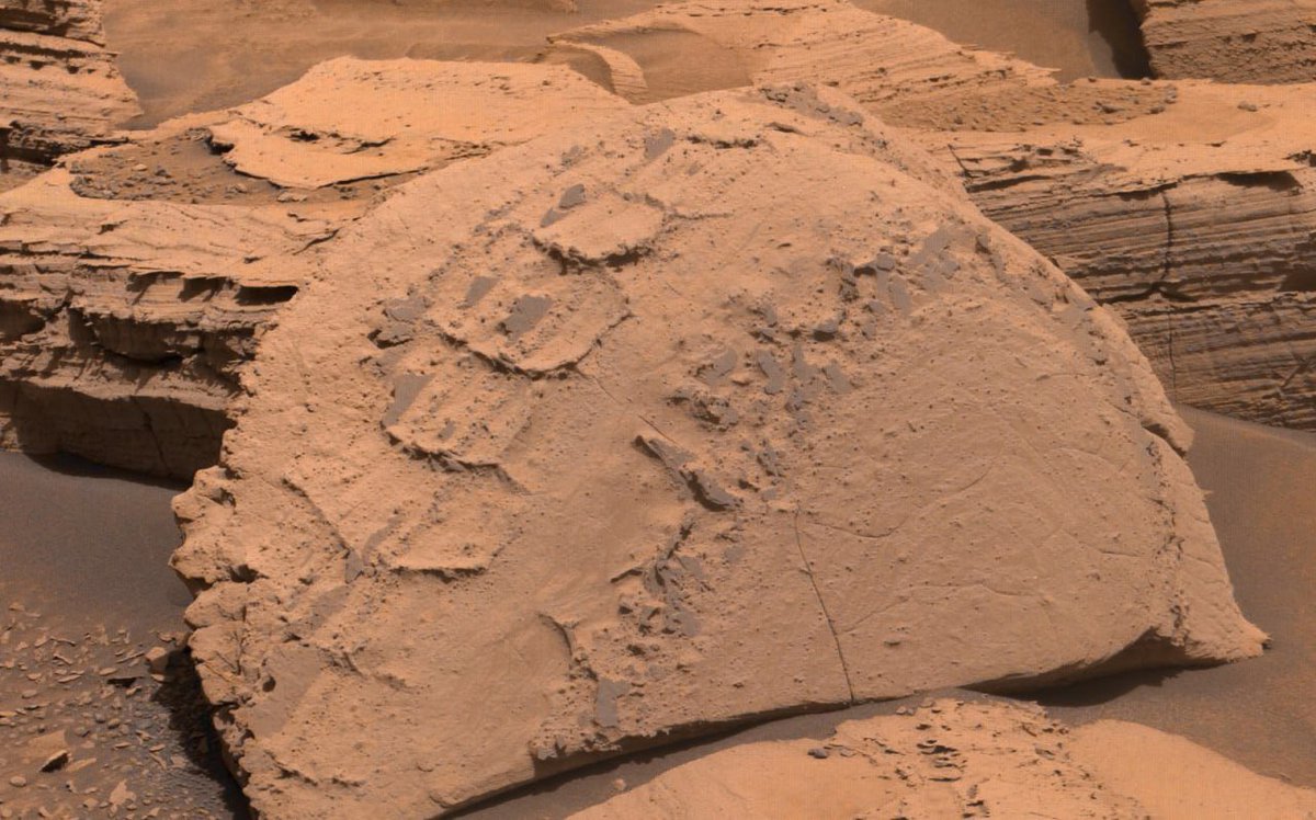 New Images from Perseverance and Curiosity on the Surface of the Red Planet