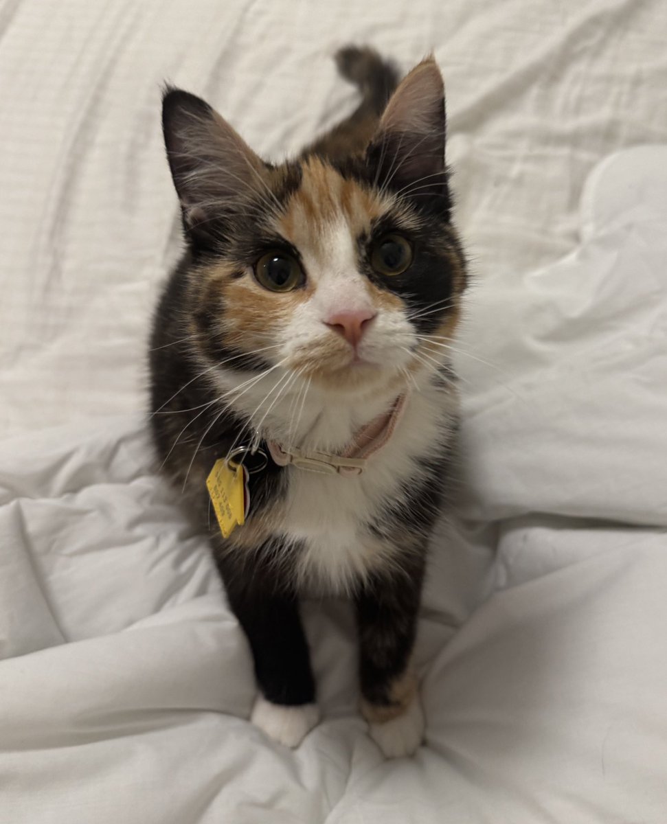 happy 6 months to my baby 💗🥹 can’t believe how big shes gotten ilysmmm