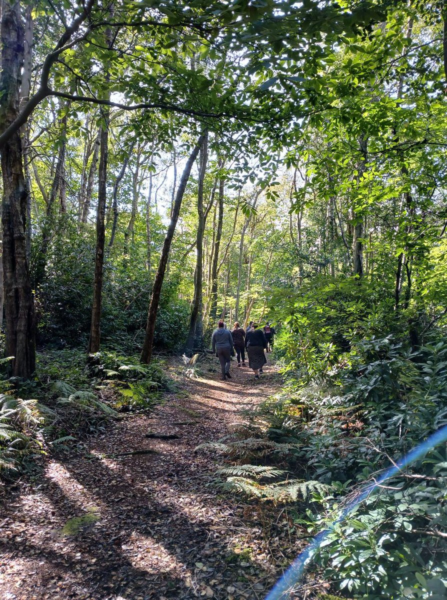 Reflecting back on our recent Landscape Soundscape day of nature and music for wellbeing. Thanks to the participants for the feedback:'I've loved meeting new people, learning songs'. 'It feels really nice and relaxing sitting out here together and making music' <a href="/Barchester_FDN/">BarchesterFoundation</a>