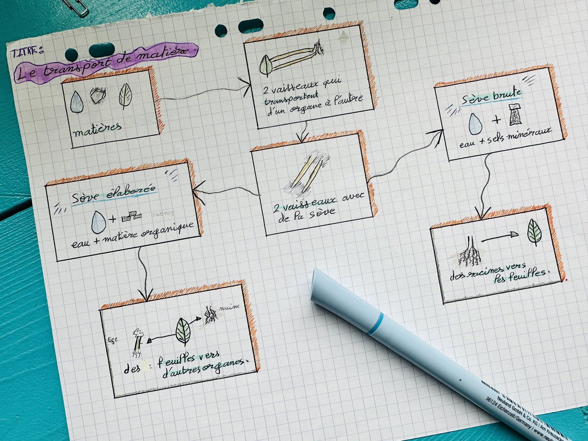 LGrenouilles's tweet image. De beaux #OutilsDeRévision créés par les élèves de 4ème 🤩, c’est simple et efficace ! 💪 ping-pong, sketchnote, cocotte de révision, leçon à manipuler