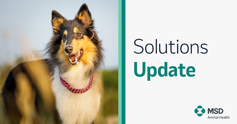 Today, we received EU approval for our canine chewable tablet, designed for one month of treatment against internal and external parasites. Learn more: bit.ly/493CXfT