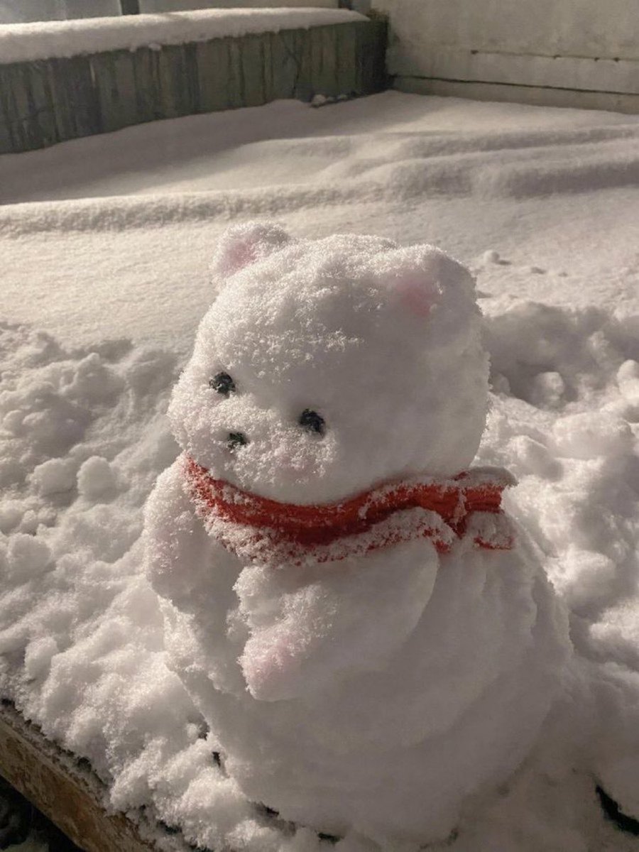 友達が作った雪のクマかわいすぎた