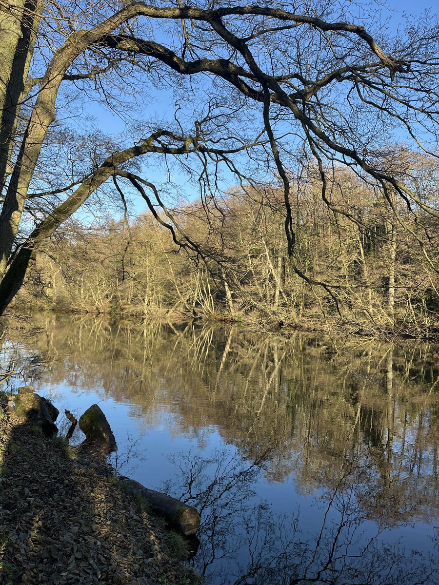 #PrayerWalk beside the River Derwent in the winter sunshine.