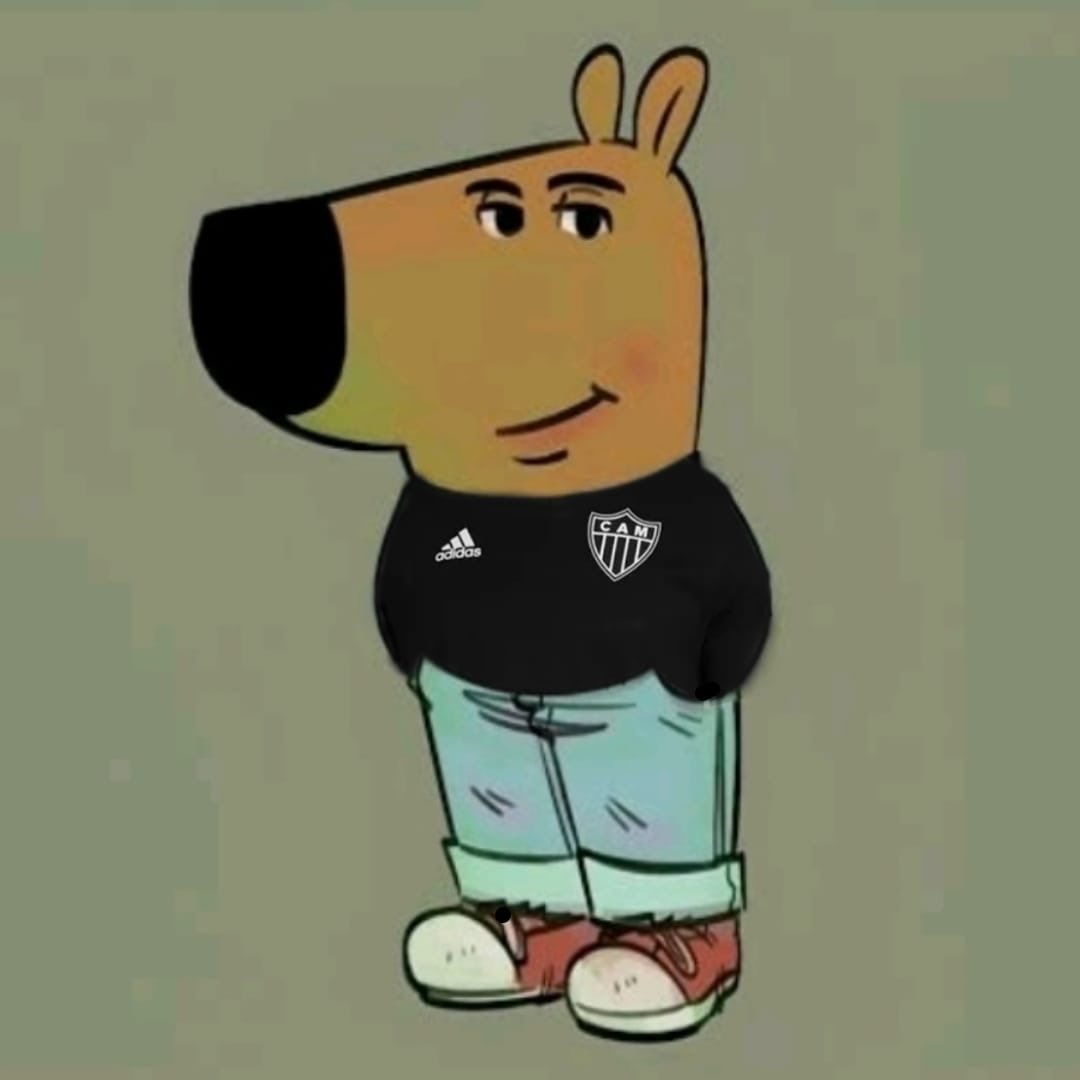 cacadogaloo's tweet photo. sou apenas um cara tranquilo querendo a libertadores. https://t.co/v6ehMgAlvp