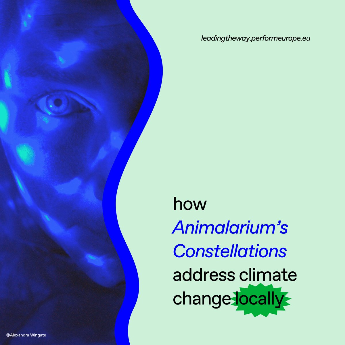 Perform Europe tweet media