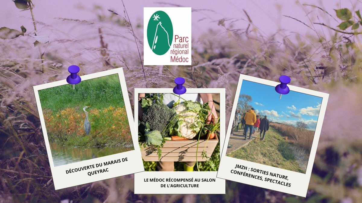 qualiteinternet's tweet photo. 🌿 Découvrez le site web du Parc Naturel Régional Pays Médoc réalisé par Natural-net ! Propulsée par le CMS #Kiubi, pour offrir une plateforme moderne et évolutive. 🌱
👉 En savoir plus : https://t.co/OvHc9gZYxi
#PNRPaysMédoc #WebDesign #Kiubi #NaturalNet https://t.co/UvDoOesSiw