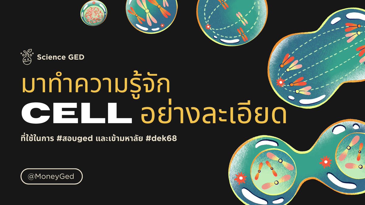 มาทำความรู้จักกับ 𝐂𝐞𝐥𝐥 อย่างละเอียด ที่ใช้ในการ #สอบged วิชา 𝐒𝐜𝐢𝐞𝐧𝐜𝐞 🦠👩🏻‍🔬✍🏻

𝐂𝐞𝐥𝐥 "เซลล์" เป็นหน่วยพื้นฐานของสิ่งมีชีวิต แบ่งออกเป็น 𝟐 ประเภทใหญ่ๆ ได้แก่ เซลล์โพรคาริโอต "𝐏𝐫𝐨𝐤𝐚𝐫𝐲𝐨𝐭𝐢𝐜 𝐂𝐞𝐥𝐥𝐬" และเซลล์ยูคาริโอต "𝐄𝐮𝐤𝐚𝐫𝐲𝐨𝐭𝐢𝐜 𝐂𝐞𝐥𝐥𝐬" 🧠