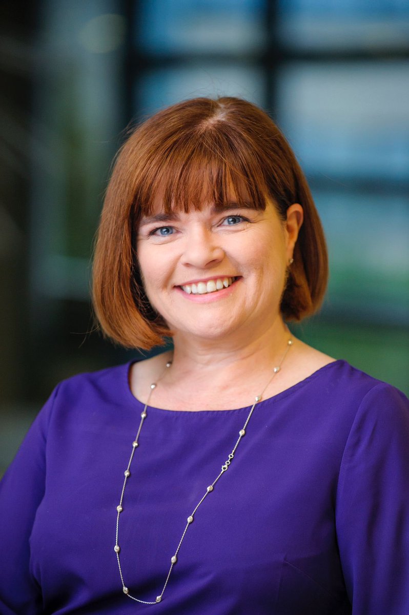 The Board of Children’s Health Ireland is happy to announce the appointment of Chief Executive to Children’s Health Ireland.

More info ➡️ bit.ly/4fGvFBh
