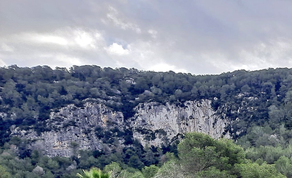 Vakapiupiu's tweet photo. A la Penya del Duc, al massís del #Garraf, el sol no hi tornarà fins a inicis de febrer! Riera de #Jafre
Aquest any no fa fred, 7 a 8 graus de Tmínima. #Novembre2023 ja hi havia glaçat, a dia 8!
Una obaga molt freda, tant de dia com de nit...
26 #novembre2024 https://t.co/n3fiNYmulX