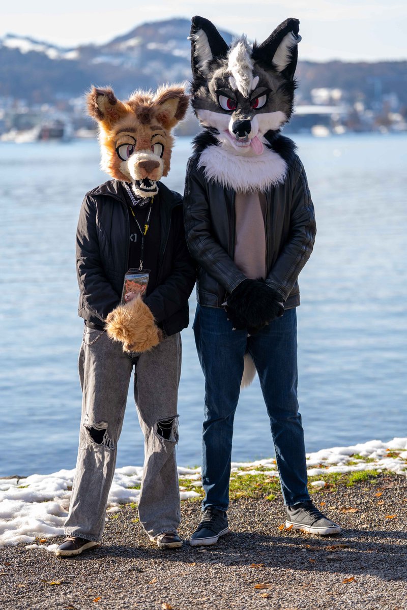 IdyllicMeadowz's tweet photo. POV: You walk up to the club and these two are the bouncers, what do you do?

📸 by @OreoLivesOn 

#FursuitEveryday #furries #fursuiter #fursuit #furry https://t.co/dINhfHdZvI