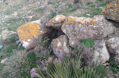 Irifien1's tweet photo. Le Rif regorge de sites historiques, dont beaucoup restent encore à découvrir et à étudier.
Il y a quelques jours, lors d'une balade dans les montagnes, l'association Thwiza Aït Chichar a découvert un agencement de pierres qui s'est révélé être un dolmen pluri-millénaires. https://t.co/Pe7MQpBjA8