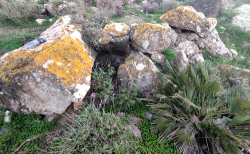 Irifien1's tweet photo. Le Rif regorge de sites historiques, dont beaucoup restent encore à découvrir et à étudier.
Il y a quelques jours, lors d'une balade dans les montagnes, l'association Thwiza Aït Chichar a découvert un agencement de pierres qui s'est révélé être un dolmen pluri-millénaires. https://t.co/Pe7MQpBjA8