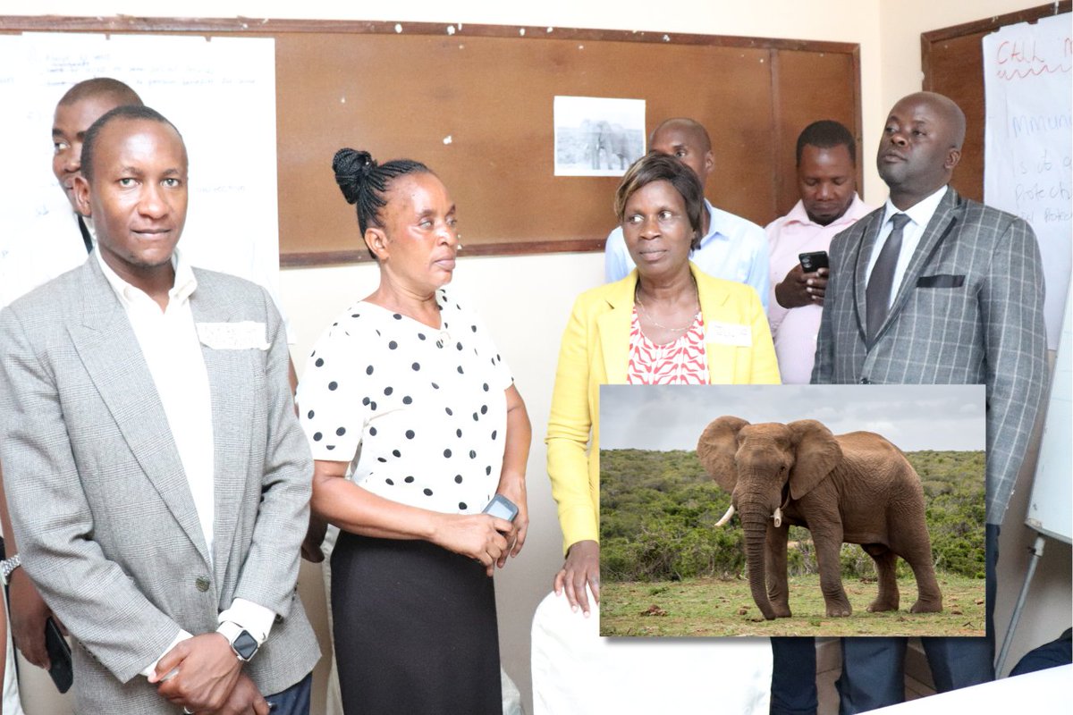 JctrOrg's tweet image. At the #CLASPS training in Livingstone, we used animals 🐃🐶🐘🦁🐇 to explore how personality traits shape work relationships. From the buffalo’s strength to the rabbit’s adaptability, this exercise fostered teamwork &amp;amp; accountability for better social protection. 🌍 (See photos)