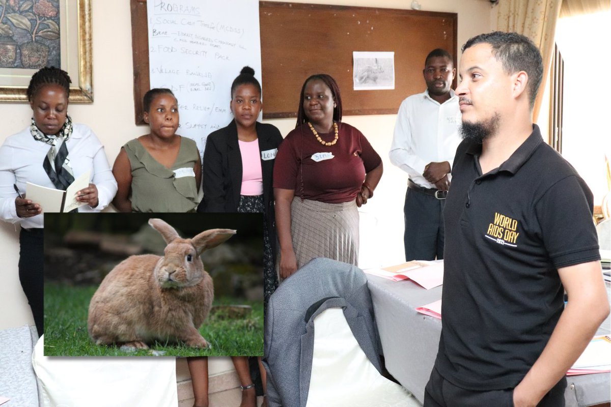 JctrOrg's tweet image. At the #CLASPS training in Livingstone, we used animals 🐃🐶🐘🦁🐇 to explore how personality traits shape work relationships. From the buffalo’s strength to the rabbit’s adaptability, this exercise fostered teamwork &amp;amp; accountability for better social protection. 🌍 (See photos)