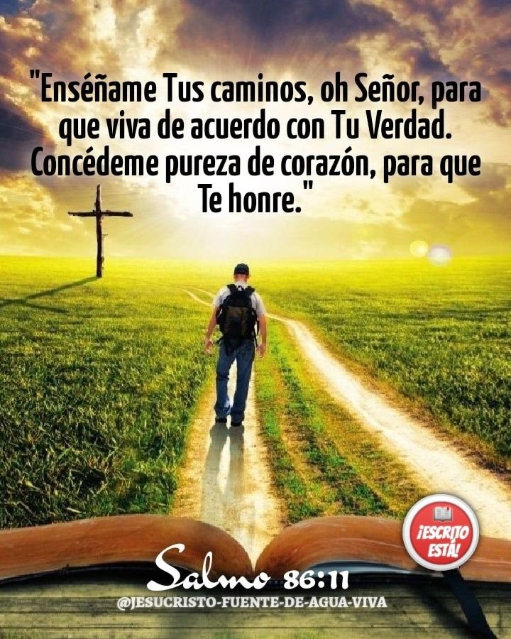 Buenos días🌤️feliz y bendecido martes gracias a Dios🙌🏼

🔖Dios es Espíritu, y los que lo adoran deben☝🏼 hacerlo de un modo verdadero, conforme al Espíritu de Dios.🙏🏻🙌🏼

📖Juan 4:24
DHH

Solo viviendo en la verdad de su palabra,guiados por su Santo Espíritu podremos ser adoradores