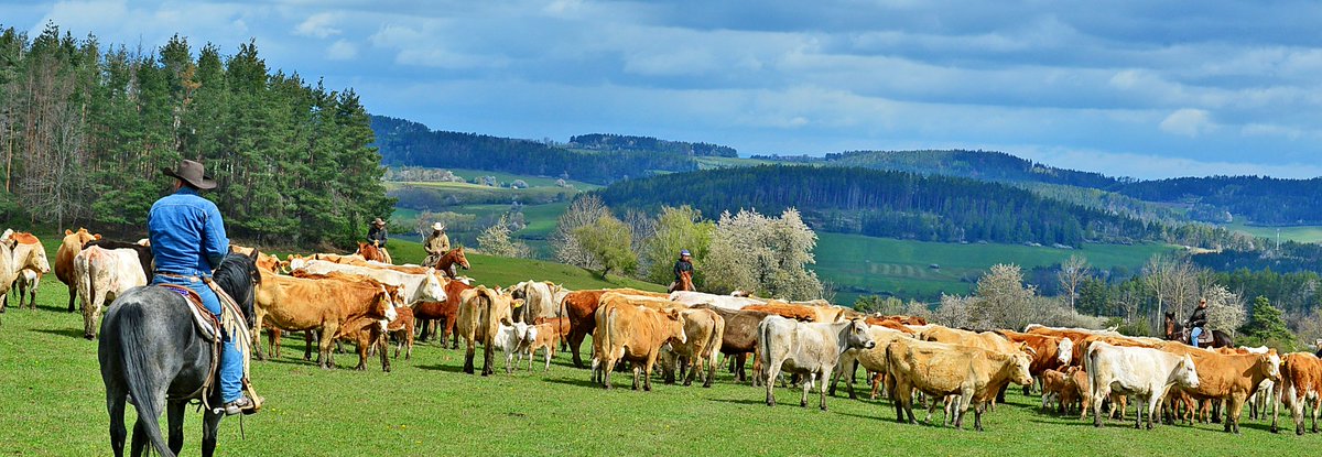 ARC 2020 tweet media