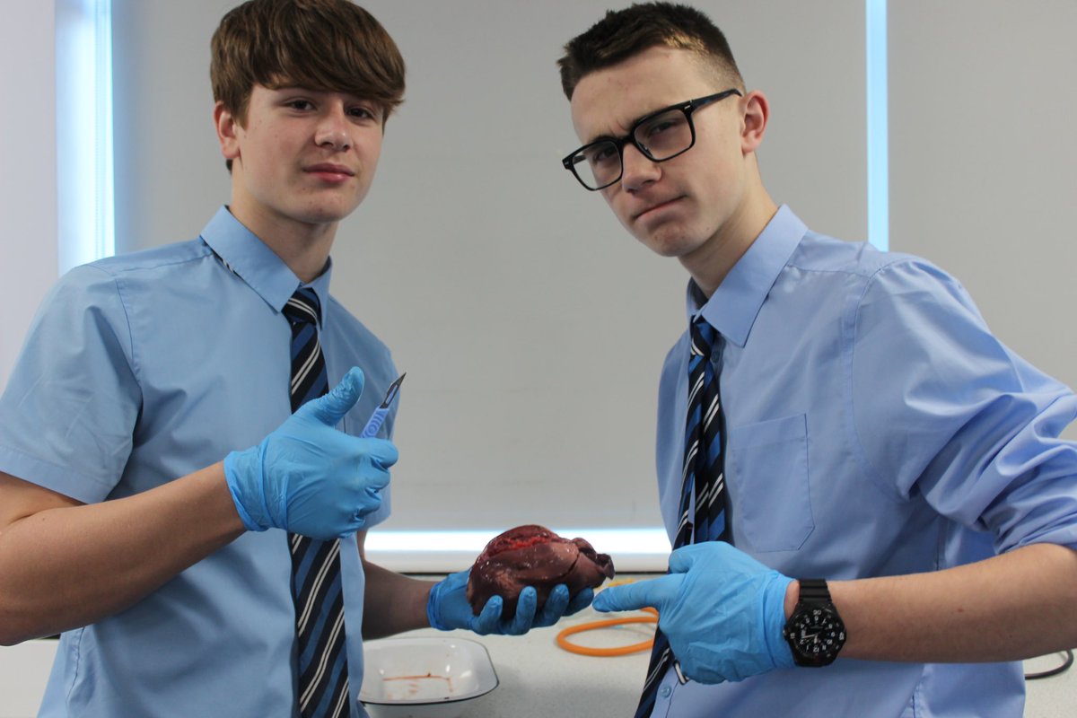 🔪 Heart dissection ❤️

Year 11 have been heart broken in science today #dissection #curiosity