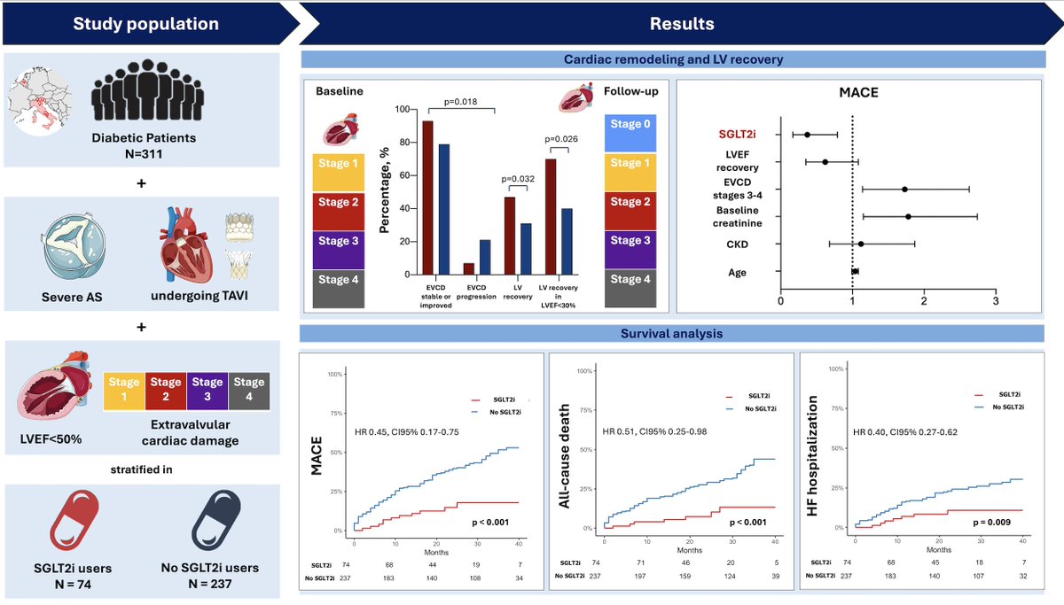 Pasquale Paolisso (@p_paolisso) on Twitter photo First data of SGLT2i in AS pts - PART 2
🔥In T2DM pts w/ severe AS, LVEF<50%, and cardiac damage undergoing TAVI, the SGLT2i use was associated w/ a more favorable cardiac remodeling and ⬇️risk of MACE <a href="/2/">A 2-loop</a>-year FU.
Read more on 👇#CardiovascularDiabetology
cardiab.biomedcentral.com/articles/10.11… First data of SGLT2i in AS pts - PART 2
🔥In T2DM pts w/ severe AS, LVEF<50%, and cardiac damage undergoing TAVI, the SGLT2i use was associated w/ a more favorable cardiac remodeling and ⬇️risk of MACE <a href="/2/">A 2-loop</a>-year FU.
Read more on 👇#CardiovascularDiabetology
cardiab.biomedcentral.com/articles/10.11…