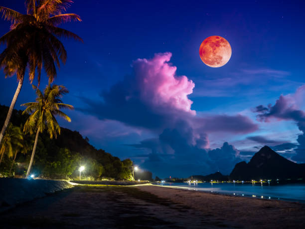 Good night 🌉 Everyone..

Have a sweet dreams❤️🌿♥️

Stay connected happy 😄 always💛💚