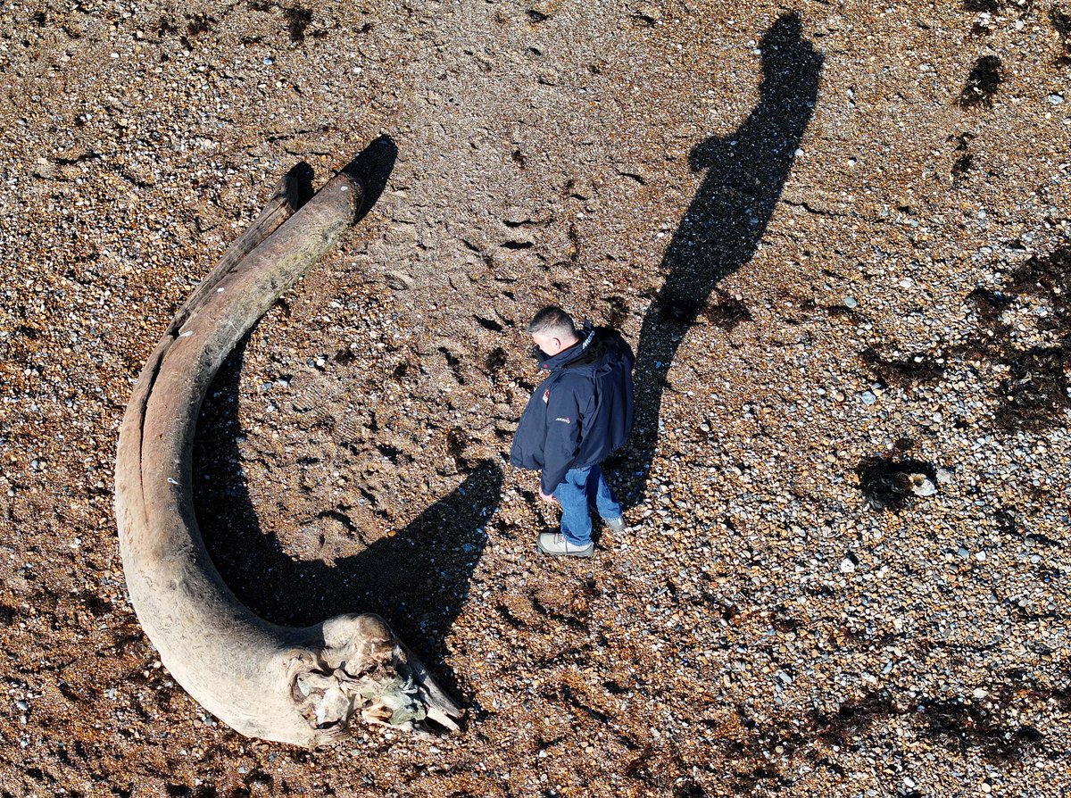 eddie mitchell tweet media