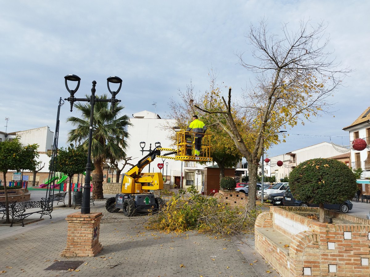 Torreperogil's tweet photo. #JARDINES #TRÁFICO / Continúan los trabajos de poda otoñal del arbolado de nuestros parques y jardines por parte del Servicio de Jardines.

Hasta el momento se ha actuado en distintas calles

⚠️ Circulen con precaución en el ámbito de trabajo.

🚧 Seguimos trabajando

#jardines https://t.co/PmMi6OBy7D