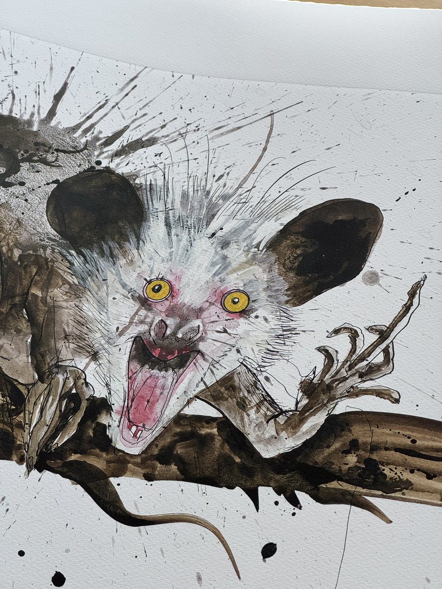 fe37s's tweet image. LFG, a real piece of history arrived today.
I got 100% conviced in $waac when I learned about The Aye Aye piece from @SteadmanArt from 2017.
I've been a collector of Steadman and a collector for historical coins, so I purchased both of them.
π§΅
