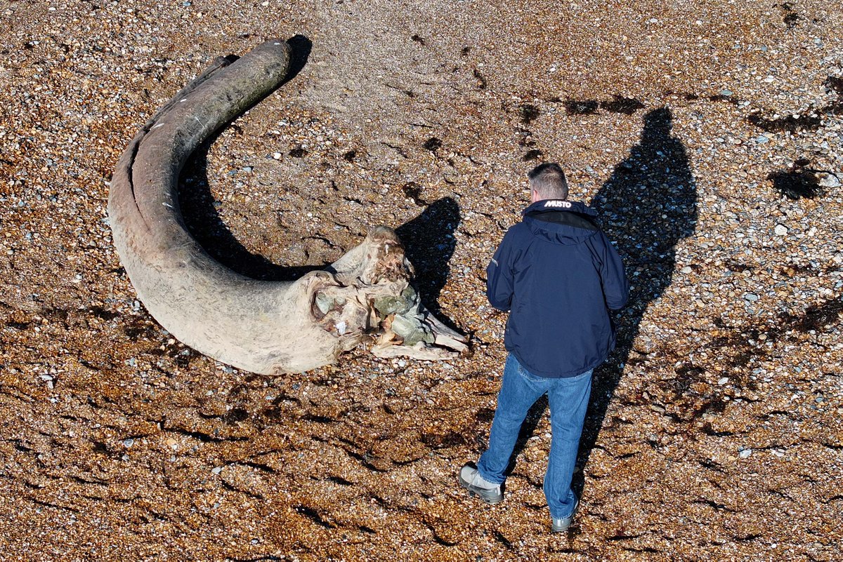 eddie mitchell tweet media