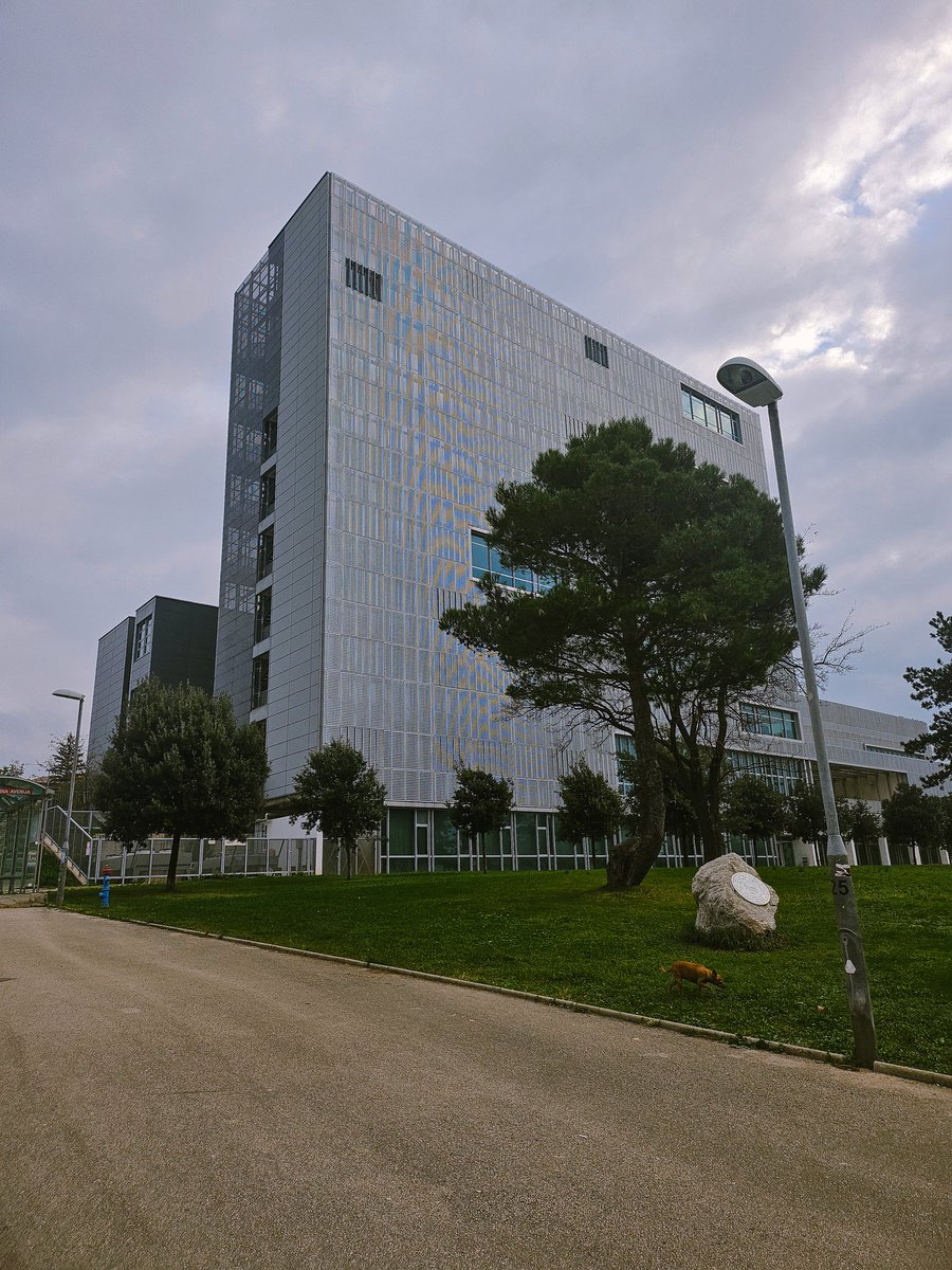 chigaga_'s tweet photo. Now a member of Croatian Astronomical Society✨️✨️

participated in the 2nd meeting in Rijeka this millenia, hope to survive for the next one https://t.co/yvShVqdVLP