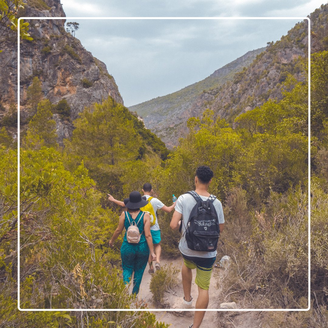 Mallorca es un paraíso para los amantes del senderismo. Entre las más destacadas se encuentran Sa Ruta de Pedra en Sec o Torrent de Pareis, y para los que buscan algo más suave, el Camí de Castell d’Alaró te lleva hasta las ruinas de un castillo con panorámicas espectaculares.
