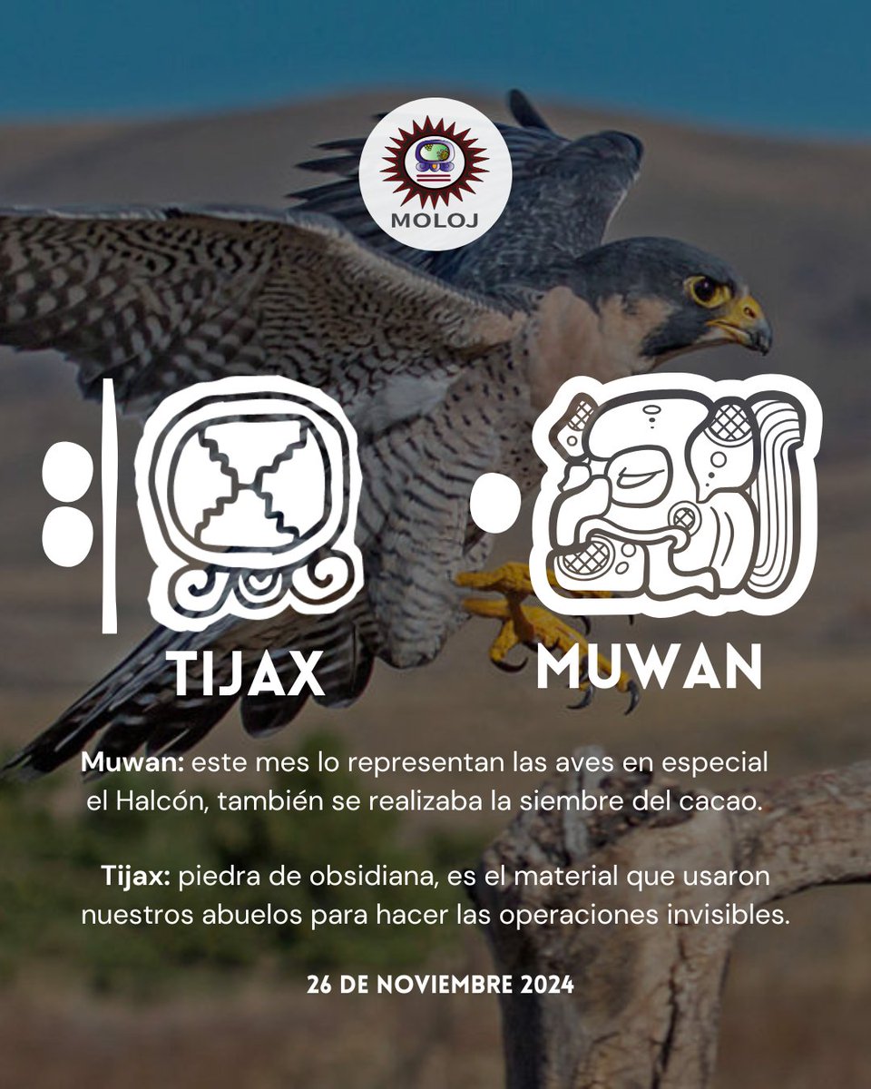 asociacionmoloj's tweet photo. #Tijax ⚡️| Nos acompañamos de la energía de la obsidiana para guía en nuestras decisiones.🔥✨️
#guiar
#decidir
#espiritualidadmaya https://t.co/I7CVEtdUWA