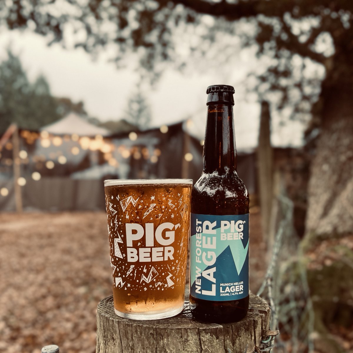 PIGBEERCO's tweet photo. Have you tried our New Forest Lager yet? 🍺 Crisp, refreshing, and brewed right here in the heart of the forest. Come grab a pint or take some home! 🌲 #PIGBEER https://t.co/V9jNmLQYSi