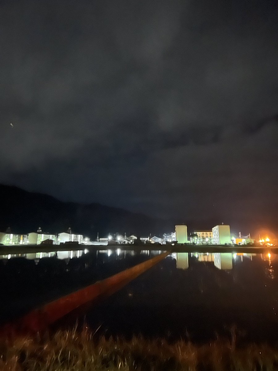 michi_peanuts's tweet image. #amazing 
#photo #yabu #Hyogo 
#Japan