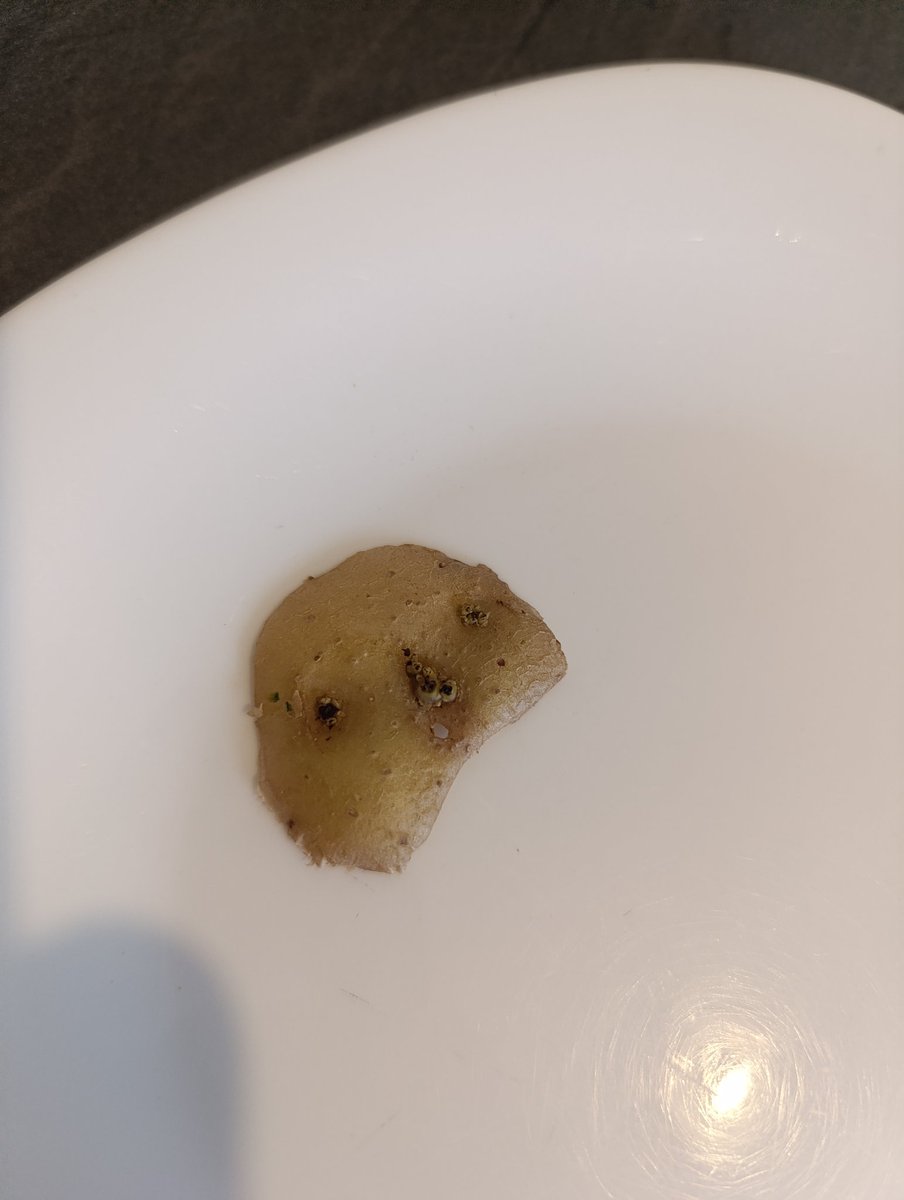 Ay bo <a href="/miguegranados/">Miguel Granados</a>  estoy hecho concha lo veo al toto beboteando