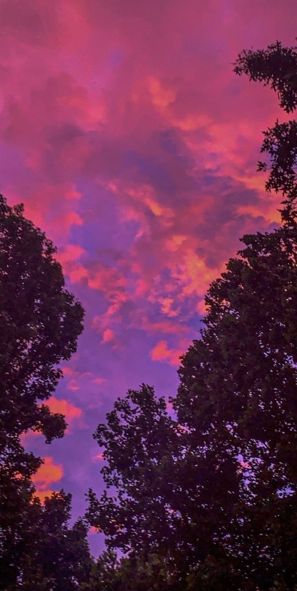 Aesthetics (@aestheticspost_) on Twitter photo 